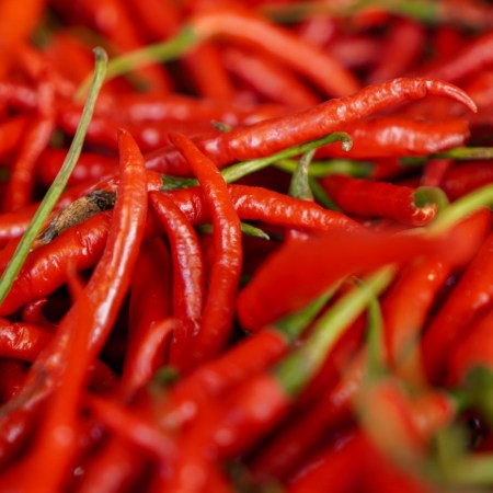 chili peppers