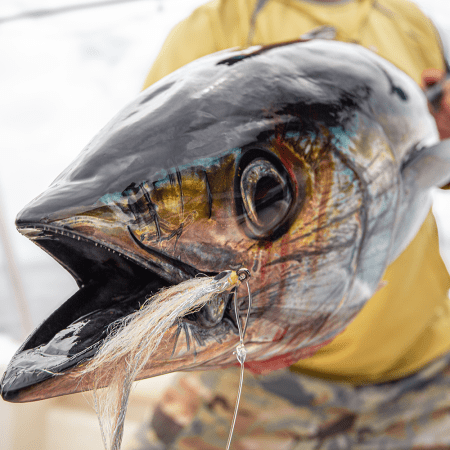 The infamous Darién Gap is home to some of the best saltwater fly fishing on the planet