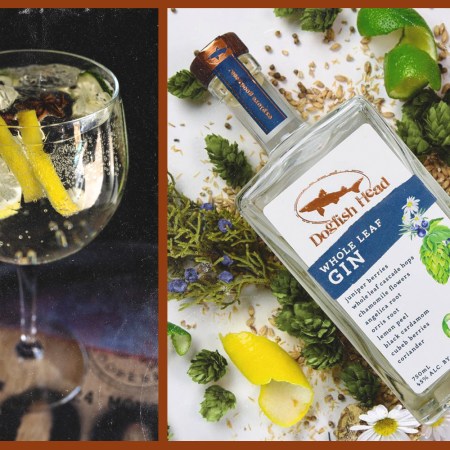 a gin and tonic and bottle of dogfish head gin next to each other