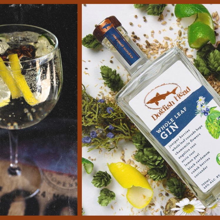 a gin and tonic and bottle of dogfish head gin next to each other